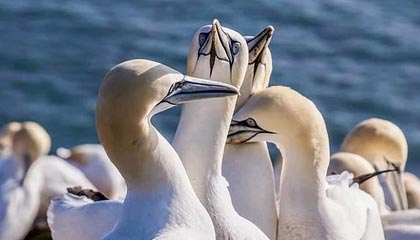 意华股份获得发明专利授权：“一种导电端子组件”