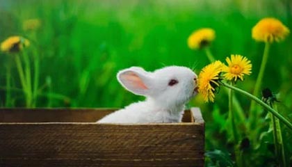 原油：油价上涨 美国加大对伊朗原油的制裁力度