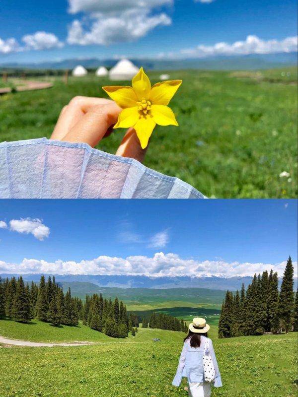 新疆当地参团游多少钱，报团旅游新疆多少钱，报团旅游新疆费用多少钱