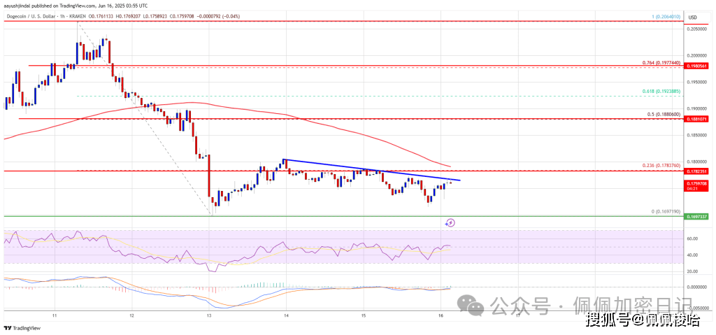 狗狗币（DOGE）暴跌！熊市绞杀MEME币，抄底时机还是末日将至？