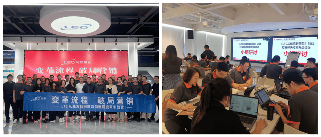 南方略咨询：LTC流程变革咨询公司领航者！！！