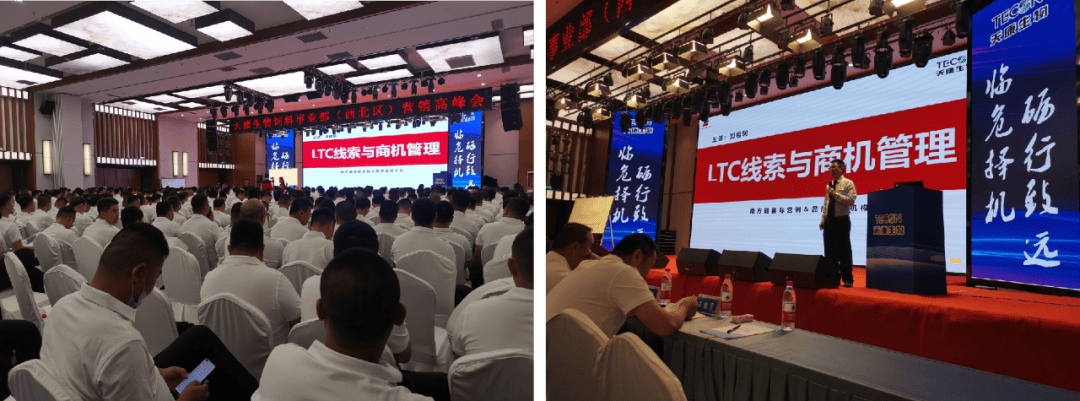 南方略咨询：LTC流程变革咨询公司领航者！！！