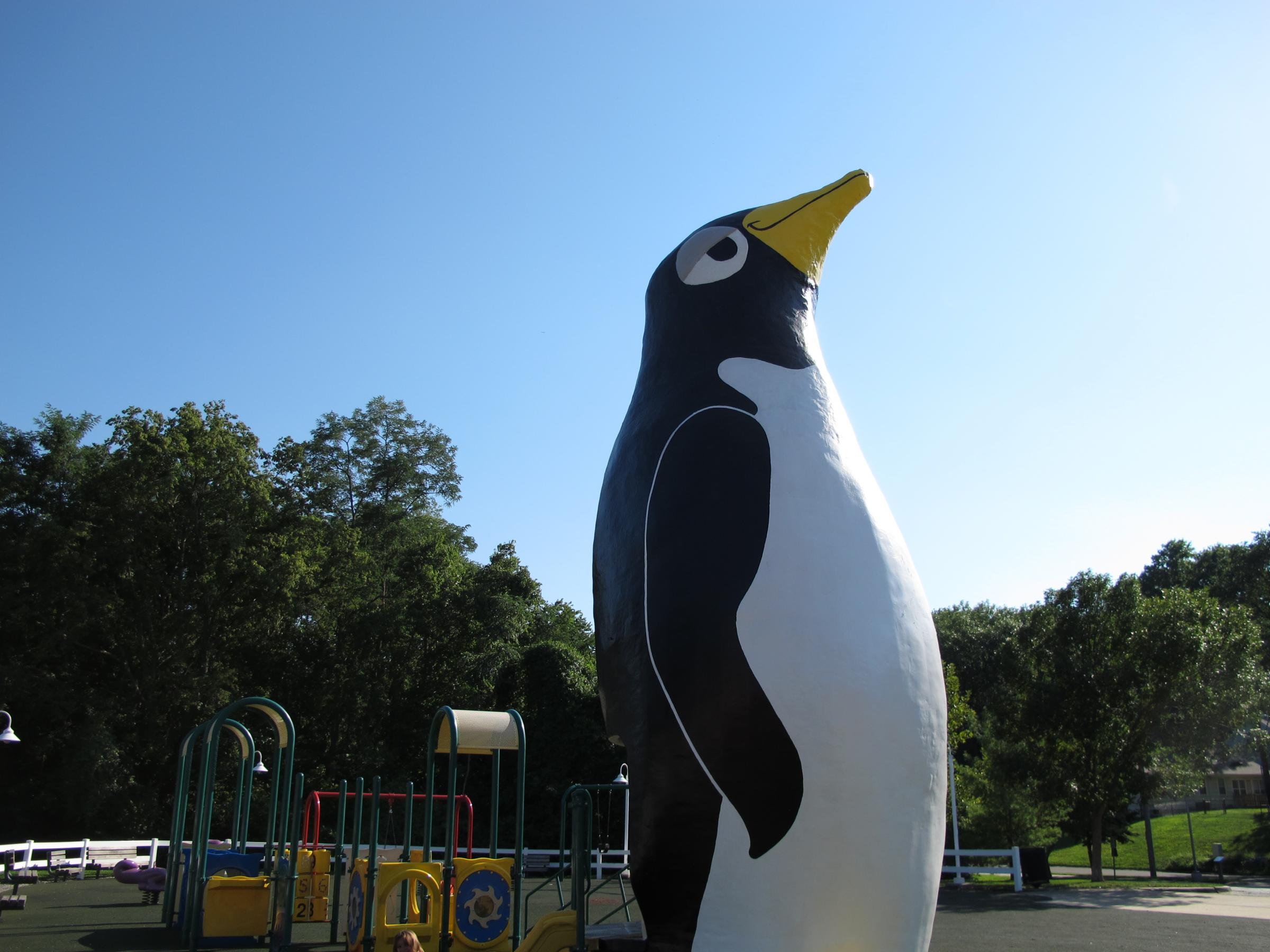 KING(kingsize是什么意思)